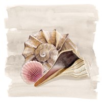 Ocean Keepsake II Fine Art Print