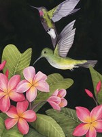 In the Plumeria II Fine Art Print