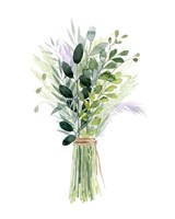 Nature Myriad II Framed Print