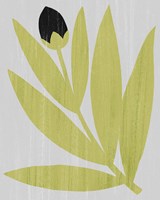 Flower Cutting I Fine Art Print