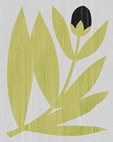 Flower Cutting II Fine Art Print