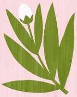 Flower Cutting IV Fine Art Print