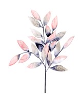 Midnight Branch I Framed Print