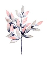 Midnight Branch II Framed Print