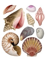 Sea Souvenirs II Fine Art Print