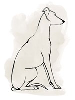 Greyhound Sketch I Fine Art Print
