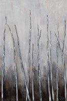 Bare Tree Tops I Fine Art Print