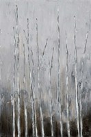 Bare Tree Tops II Fine Art Print