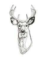 Whitetail Wireframe II Fine Art Print