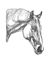 Equine Contour III Fine Art Print