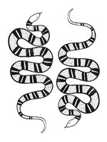Epidaurus Snake II Fine Art Print