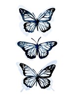 Blue Butterfly Trio I Fine Art Print