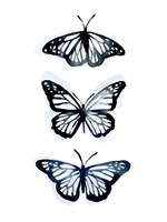 Blue Butterfly Trio II Fine Art Print