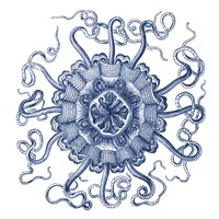 Navy Ocean Gems II Fine Art Print