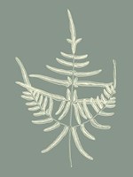 Ferns on Sage I Fine Art Print