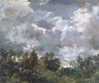 Study of Sky and Trees Fine Art Print