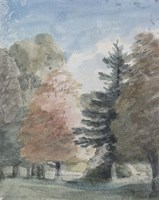 Study of Trees in a Park Fine Art Print