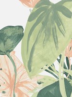 Blush Breeze II Fine Art Print