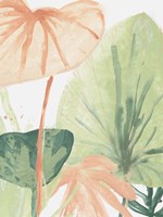 Blush Breeze IV Fine Art Print