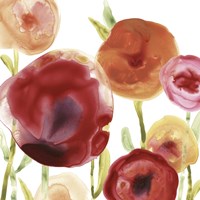 Poppy Patch III Fine Art Print