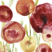 Poppy Patch IV Fine Art Print