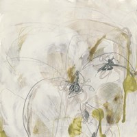 Arctic Lichen II Framed Print