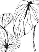 Linear Tropics II Framed Print