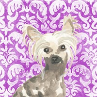 Parlor Pooches IX Fine Art Print