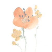 Petite Petals VI Fine Art Print