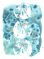 Seaside Shapes IV Fine Art Print