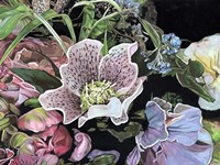 Dark Velvet I Framed Print