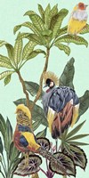 Birds Paradise IV Framed Print