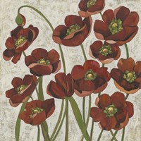 Sangria Poppies I Fine Art Print