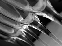 Champagne Flutes In A Row 2 Fine Art Print