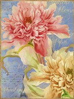 Peonies Fine Art Print