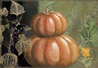 Pumpkin I Fine Art Print