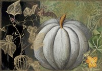 Pumpkin II Fine Art Print