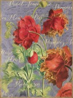 Red Poppies Fine Art Print