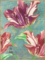 Tulips Fine Art Print