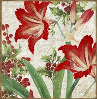 Christmas Flowers I Framed Print