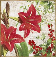 Christmas Flowers II Fine Art Print