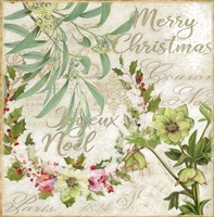 Merry Christmas I Fine Art Print