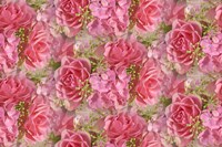 Pink Roses and Hydrangea Fine Art Print