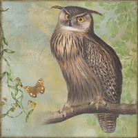Eagle-Owl Fine Art Print