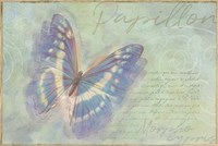 Papillon Butterfly Morpho cypris Fine Art Print