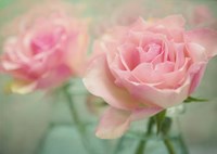 Pink Roses in Glass Fine Art Print