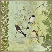 Tree Birds II Flycatchers Fine Art Print