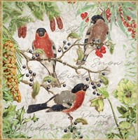 Winter Birds Bullfinches Fine Art Print