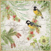 Winter Birds Great Tits Fine Art Print