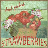 Farmers Market Strawberries Fine Art Print